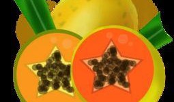 新年吃瓜视频素材下载免费,免费下载视频素材，尽享欢乐时光